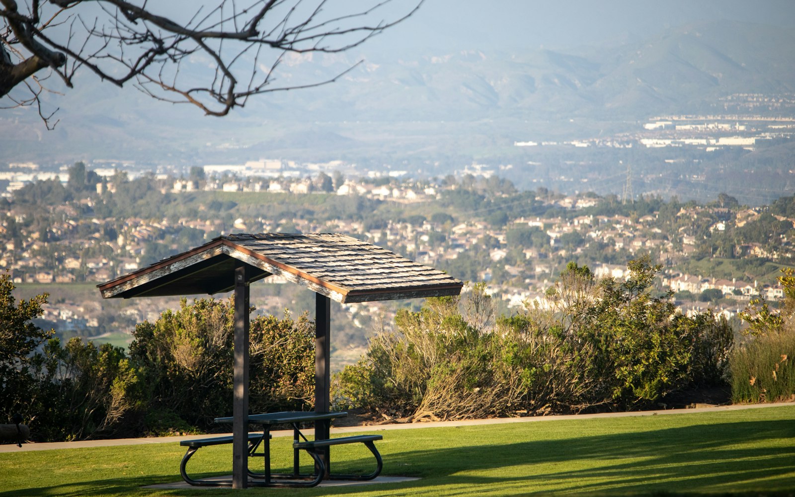 Local SEO in Aliso Viejo, CA near Aliso Viejo Town Center | OCWebPros