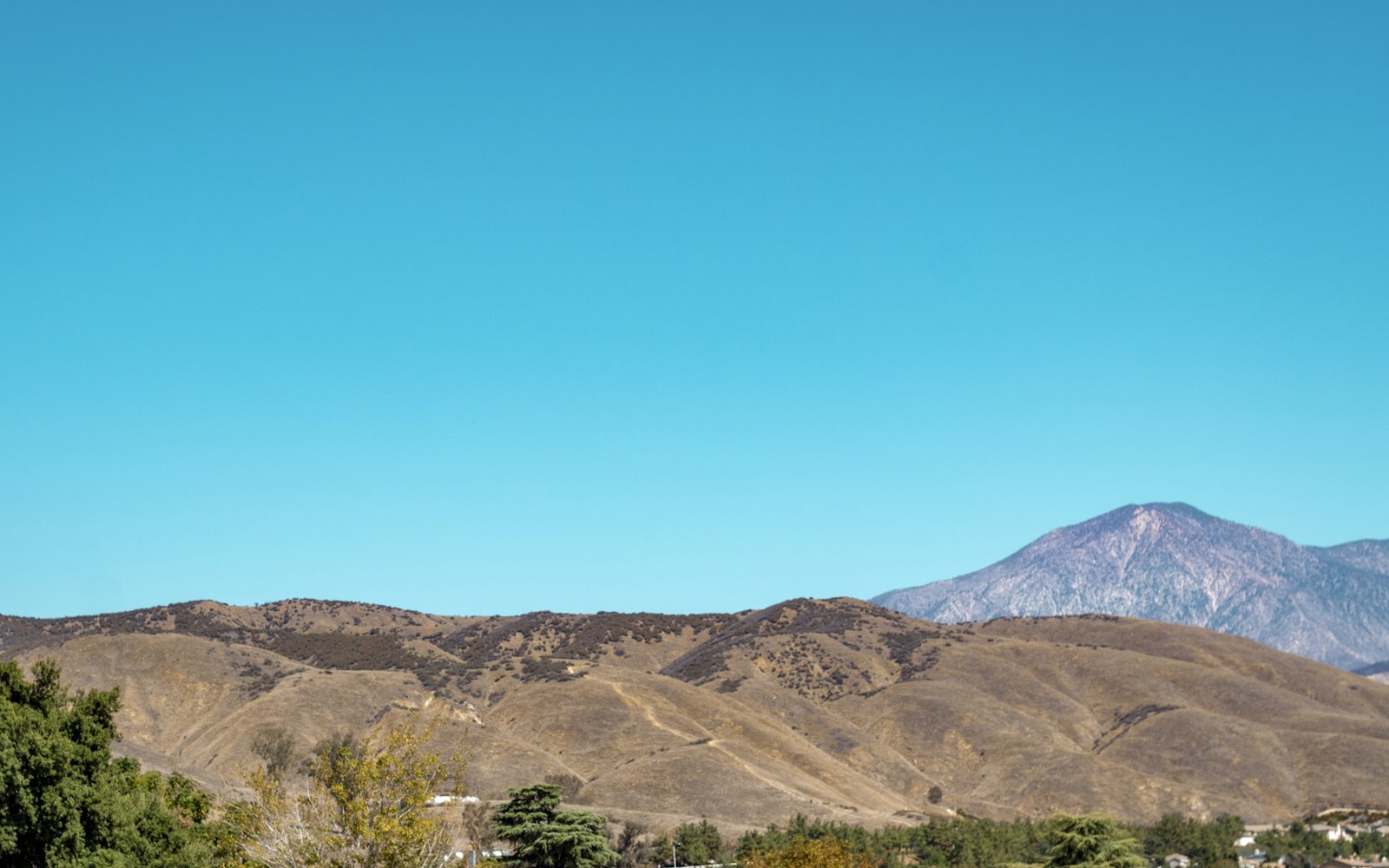Local SEO in Aliso Viejo, CA near Pacific Park Drive area | OCWebPros
