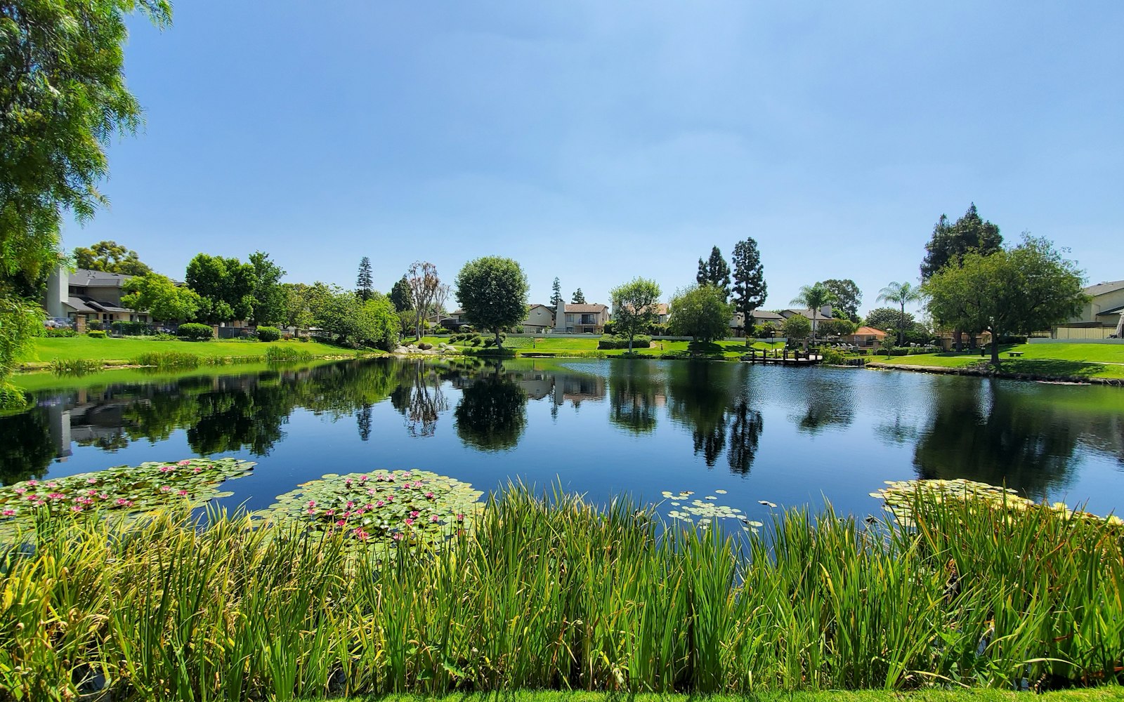 Local SEO in Anaheim, CA near Downtown Anaheim | OCWebPros
