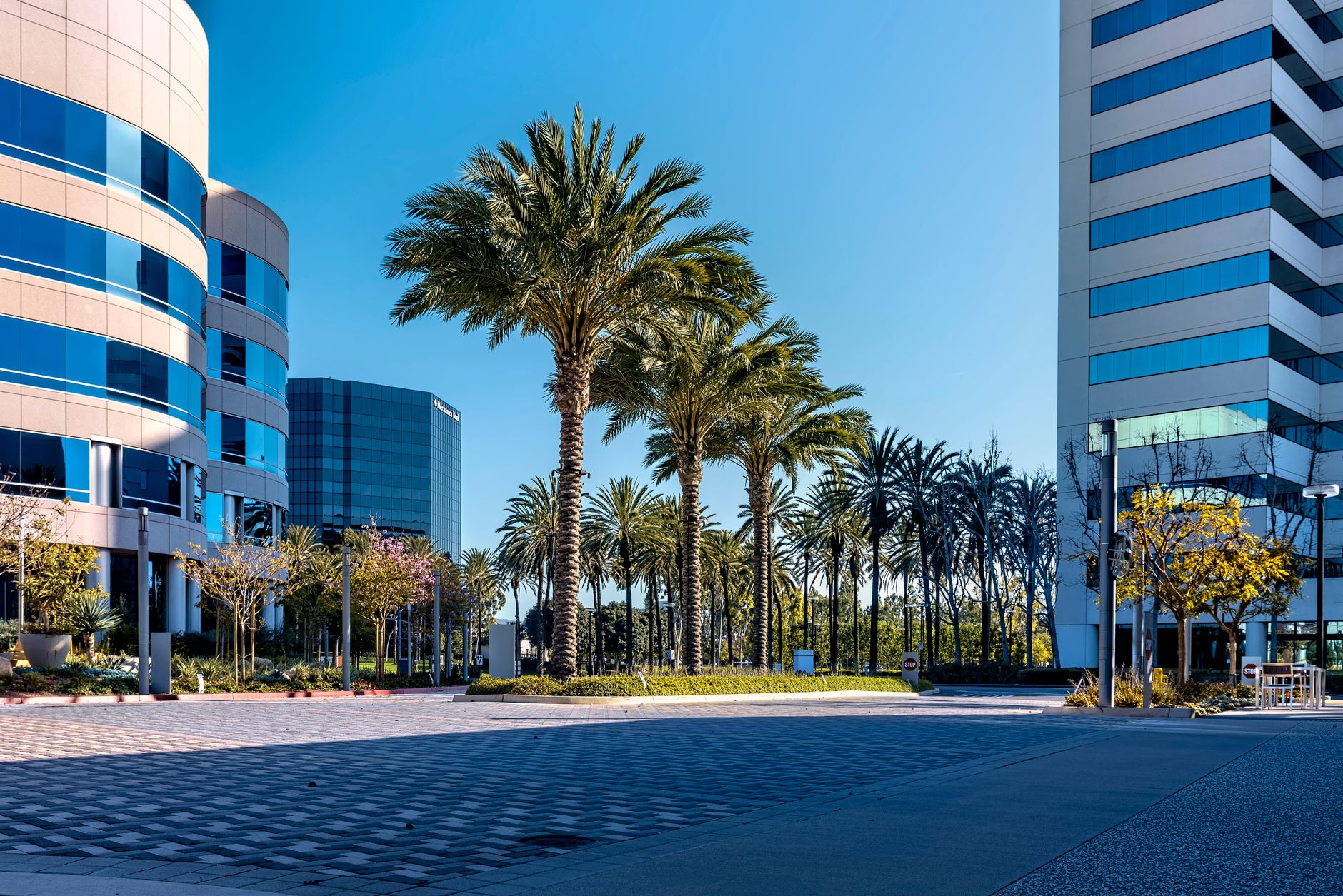 Local SEO in Brea, CA near Brea Mall & Brea Marketplace | OCWebPros