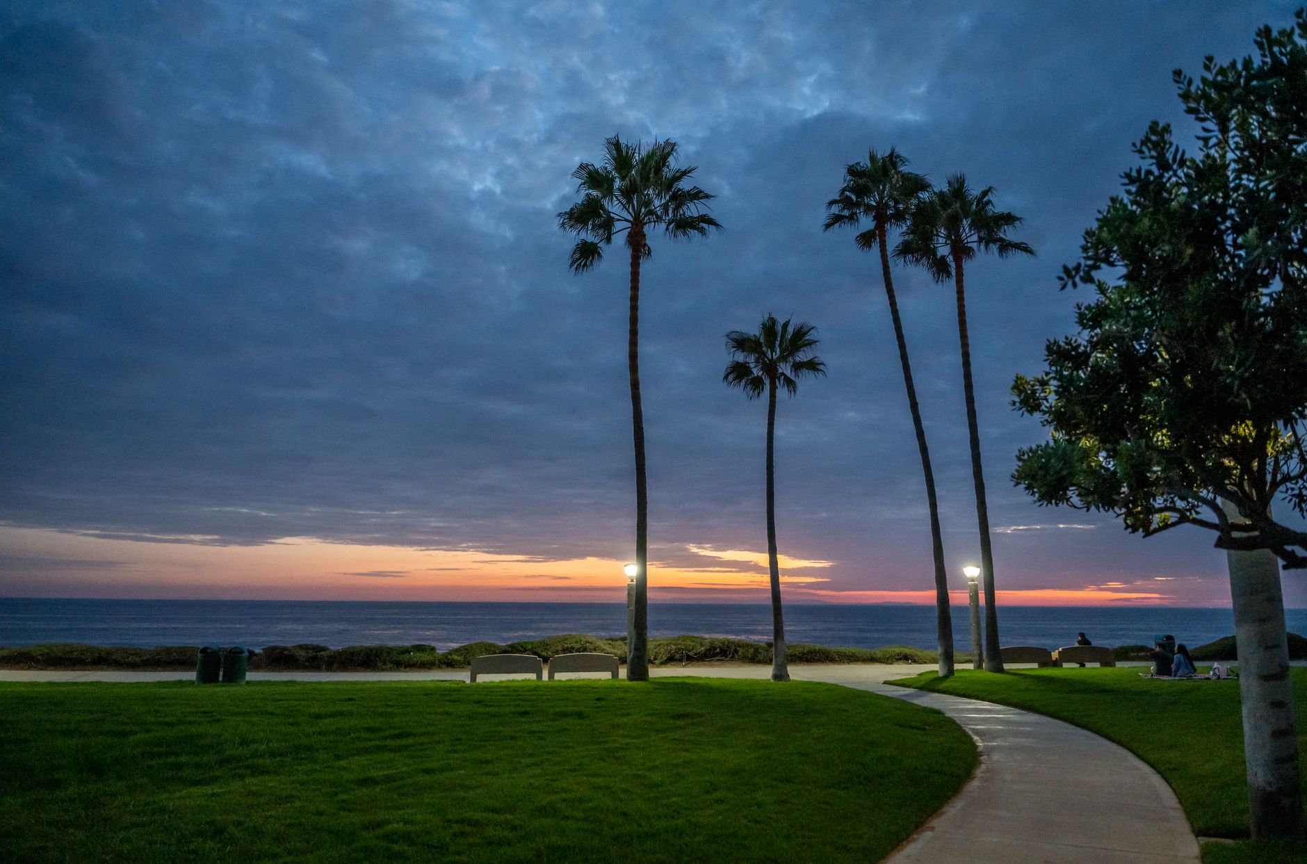 Local SEO in Dana Point, CA near Dana Point Harbor | OCWebPros. Breathtaking sunset view with palm trees and benches at Dana 