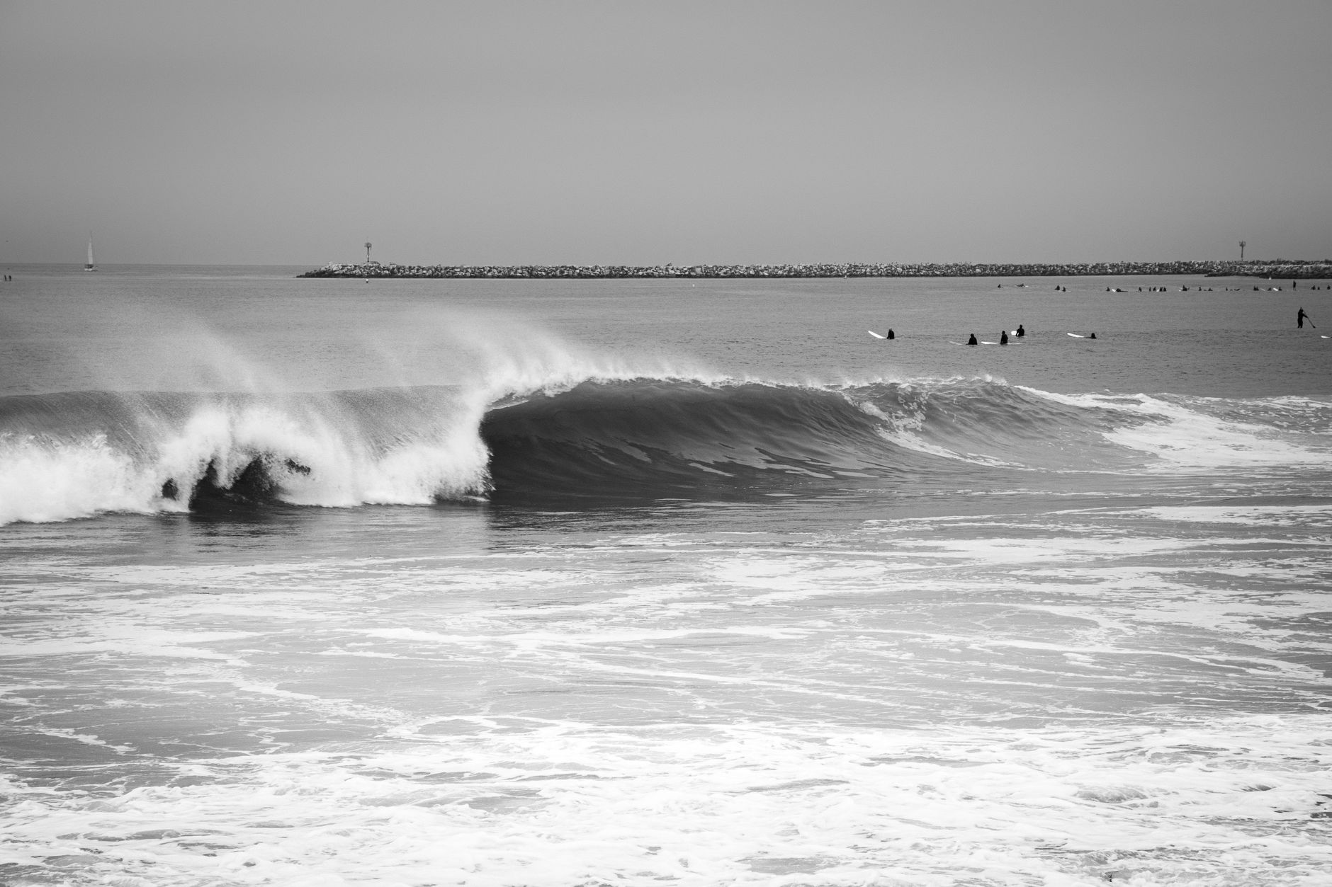 Local SEO in Dana Point, CA near Dana Point Harbor | OCWebPros. Black and white photograph of surfers riding waves at Dana Po