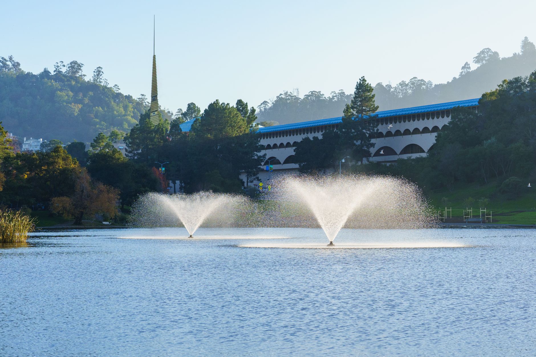 Local SEO in Fountain Valley, CA near Euclid Street corridor | OCWebPros
