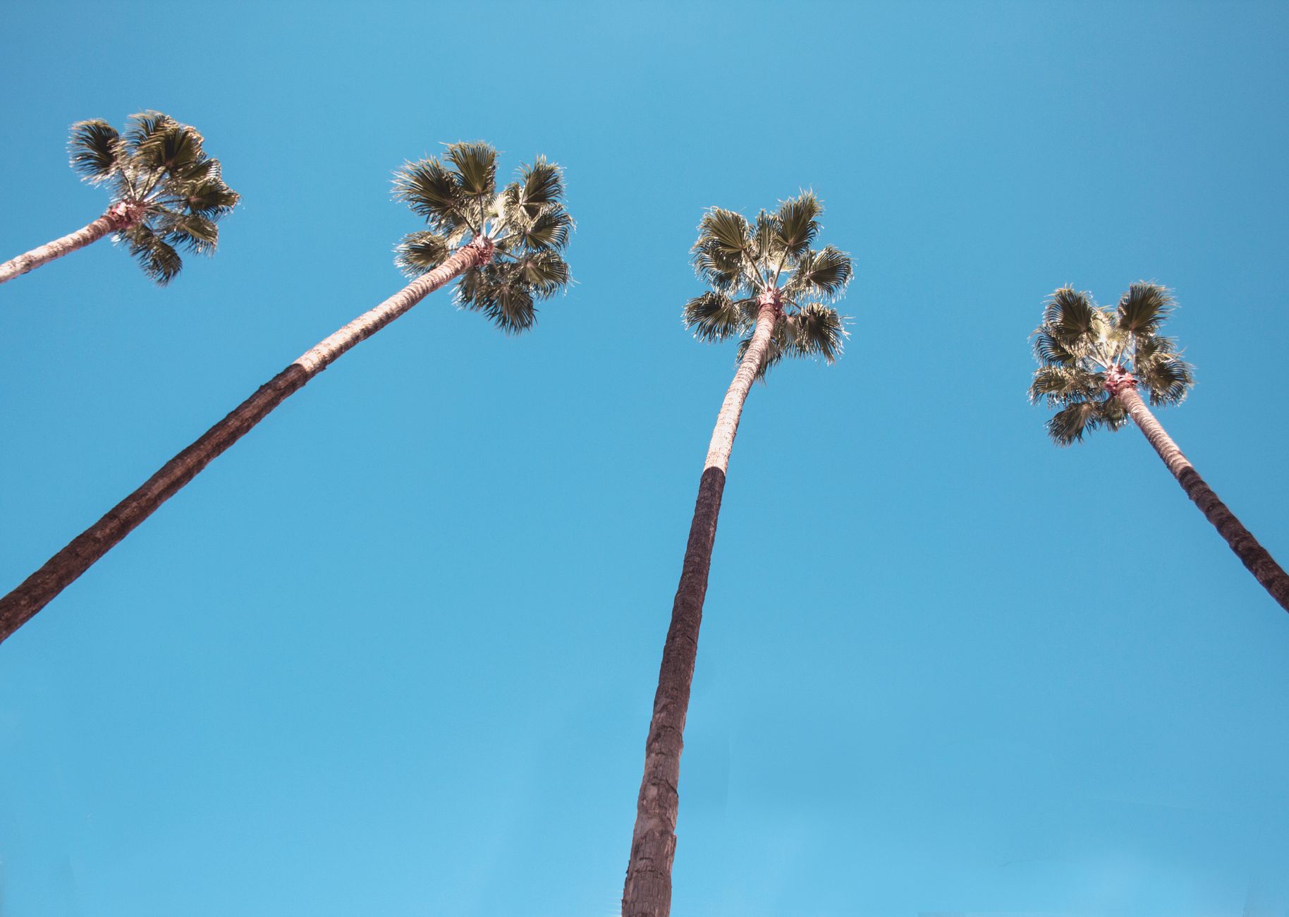 Local SEO in Garden Grove, CA near Garden Grove Boulevard | OCWebPros