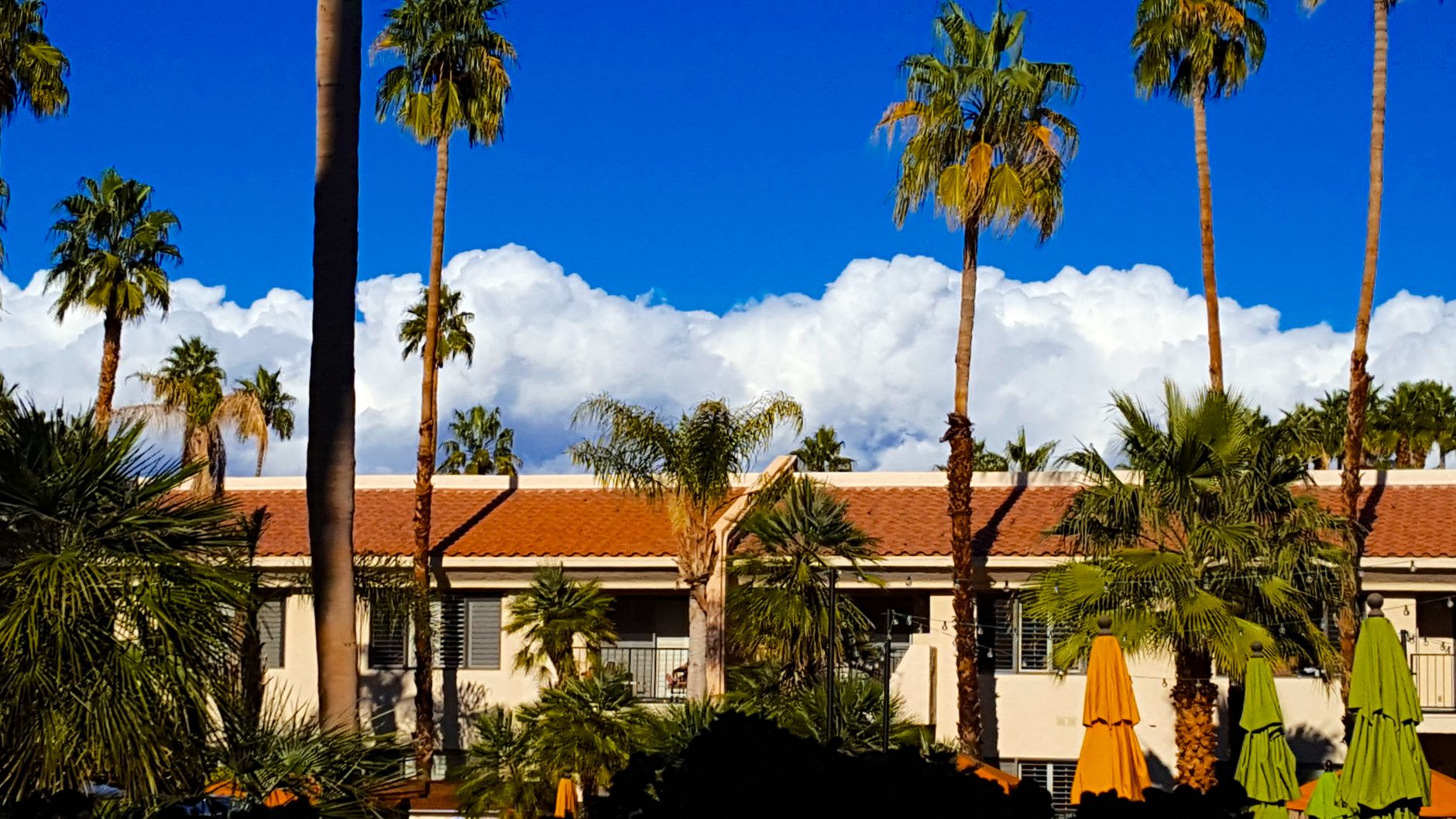 Local SEO in Garden Grove, CA near Little Saigon & Westminster border | OCWebPros