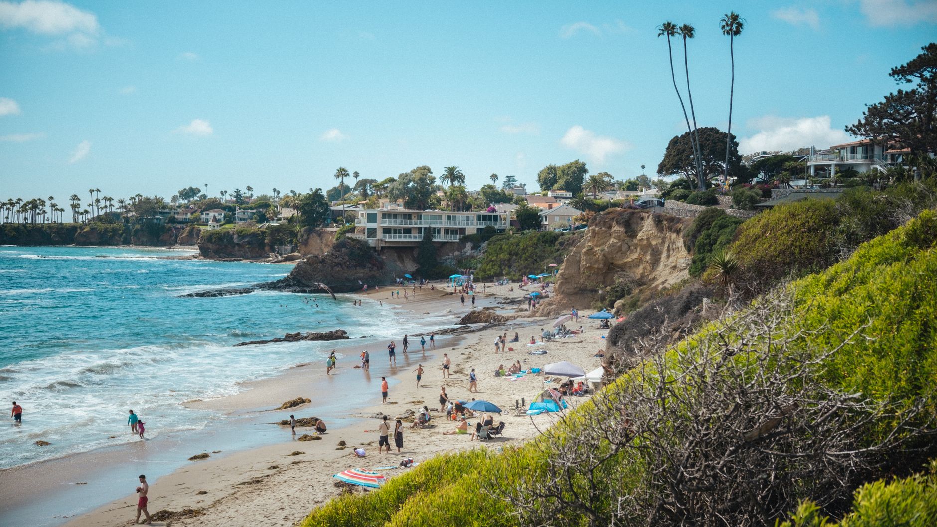 Local SEO in Laguna Niguel, CA near Laguna Niguel Regional Park area | OCWebPros