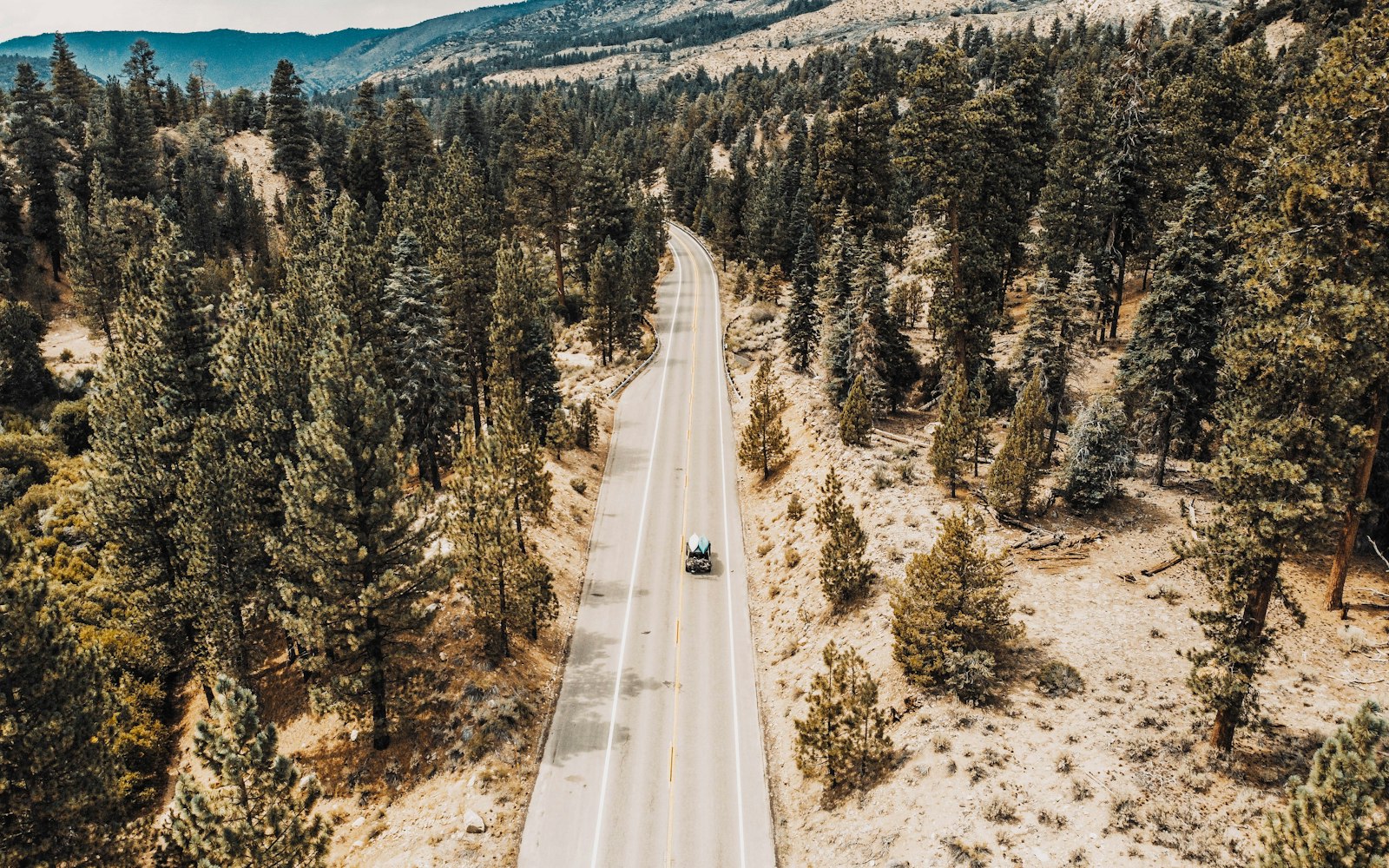 Local SEO in Lake Forest, CA near Foothill Ranch | OCWebPros