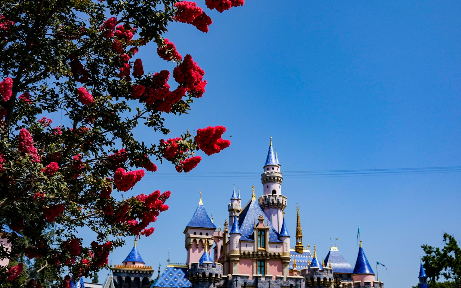 How Much Does Web Design Cost in Anaheim? 2026 Pricing Guide featured image
